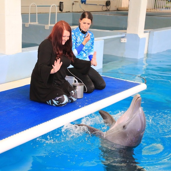 Meet Your Posher, Ashaleigh Marie - Picture 7 of 8